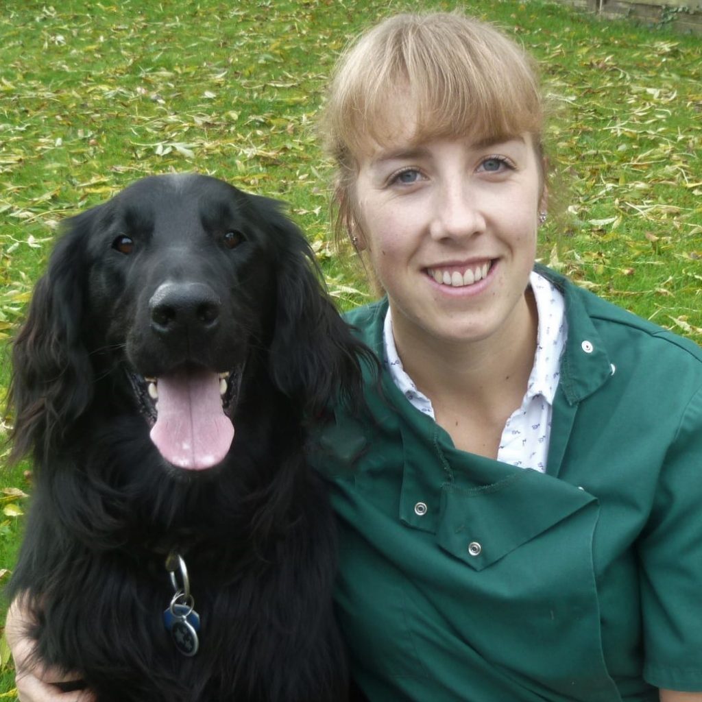 Rebecca MacMillan Pet Vet Writer