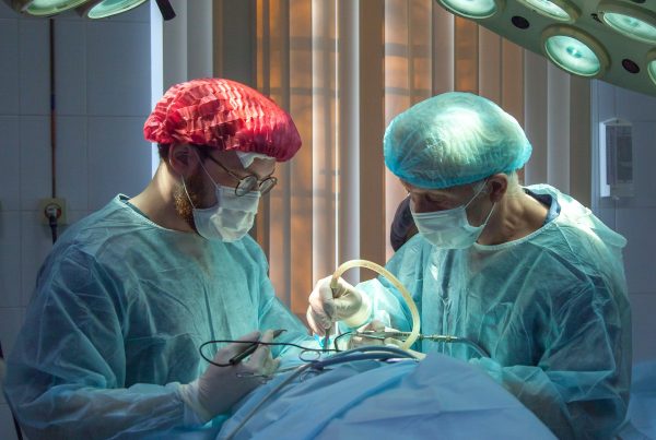 two surgeons operating neutering a pet