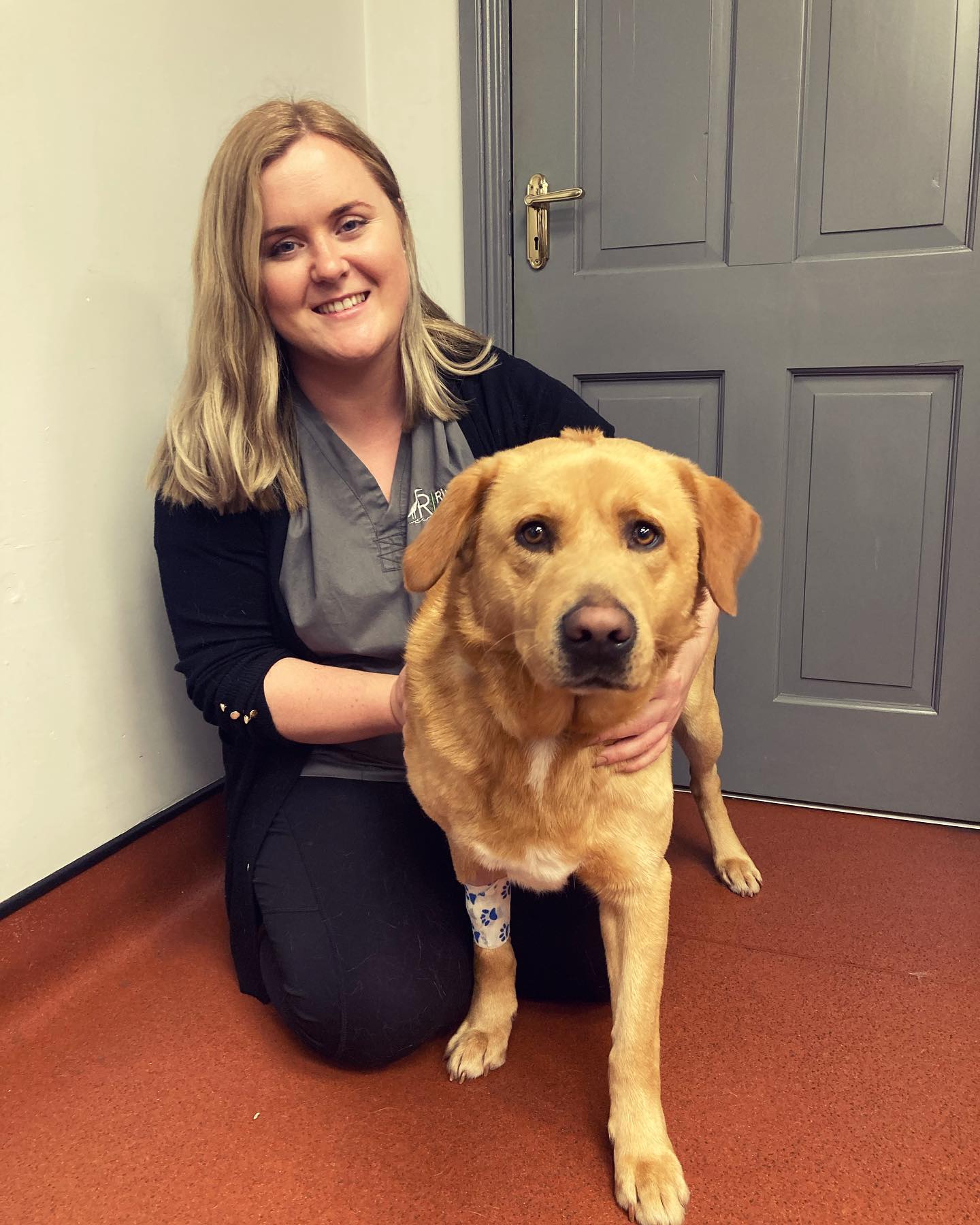 Dr Aisling O'Keeffe with canine patient - Aisling is a qualified vet working as an animal writer at The Veterinary Content Company. She specialises in proofreading and writing cat content.