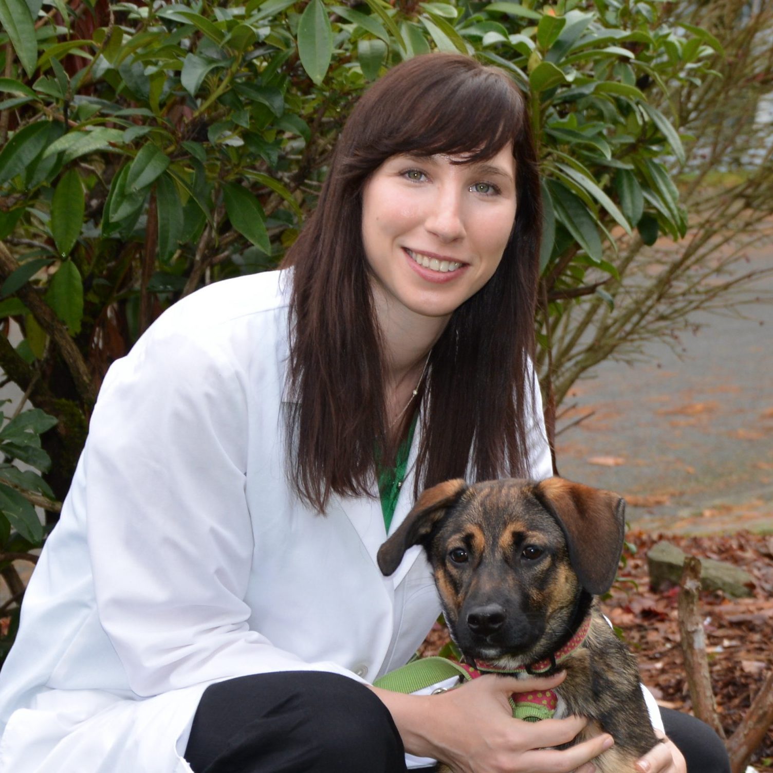 Dr Liza Cahn is a pet writer and qualified US-based vet who writes for The Veterinary Content Company