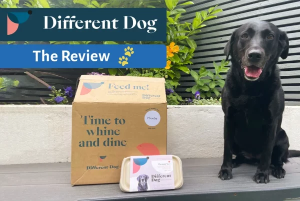 Different dog food review