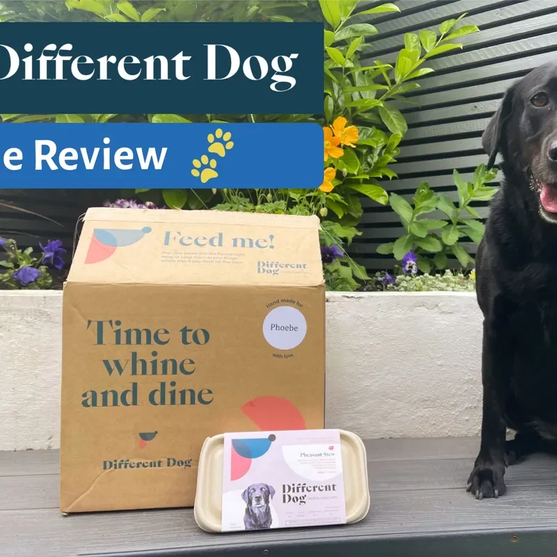 Different dog food review
