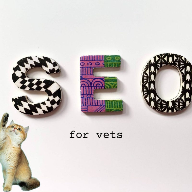 A kitten reaches for a sign saying SEO for Vets