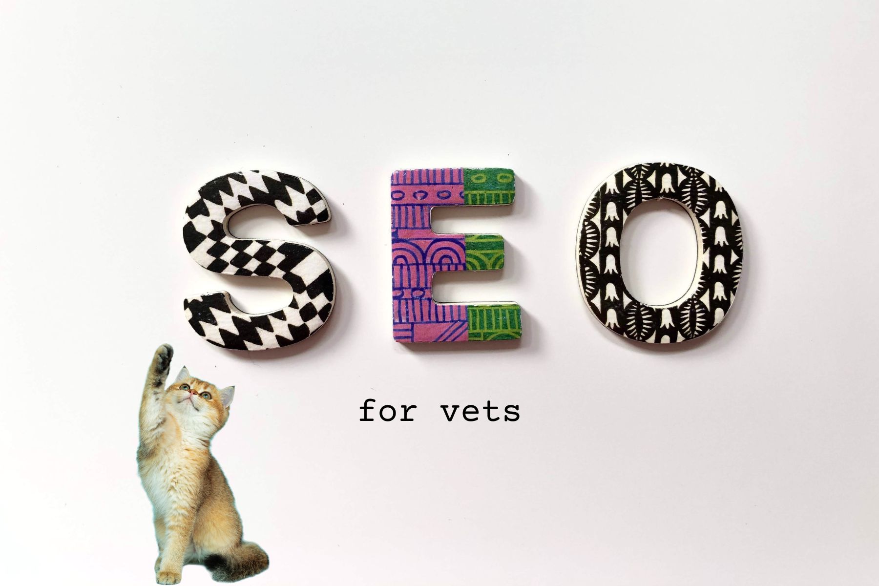 SEO for vets – what you need to know