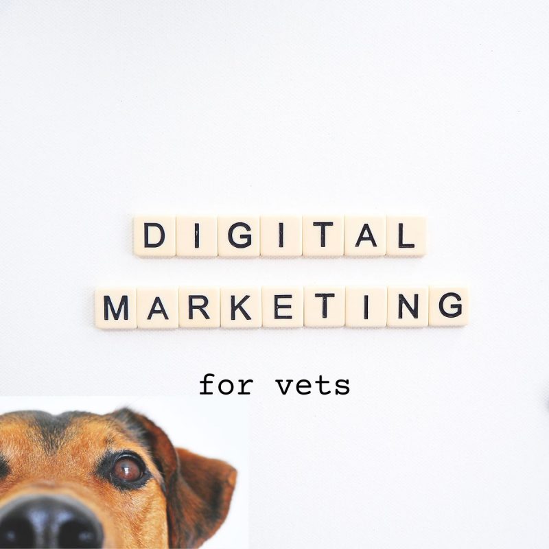 Digital marketing for vets