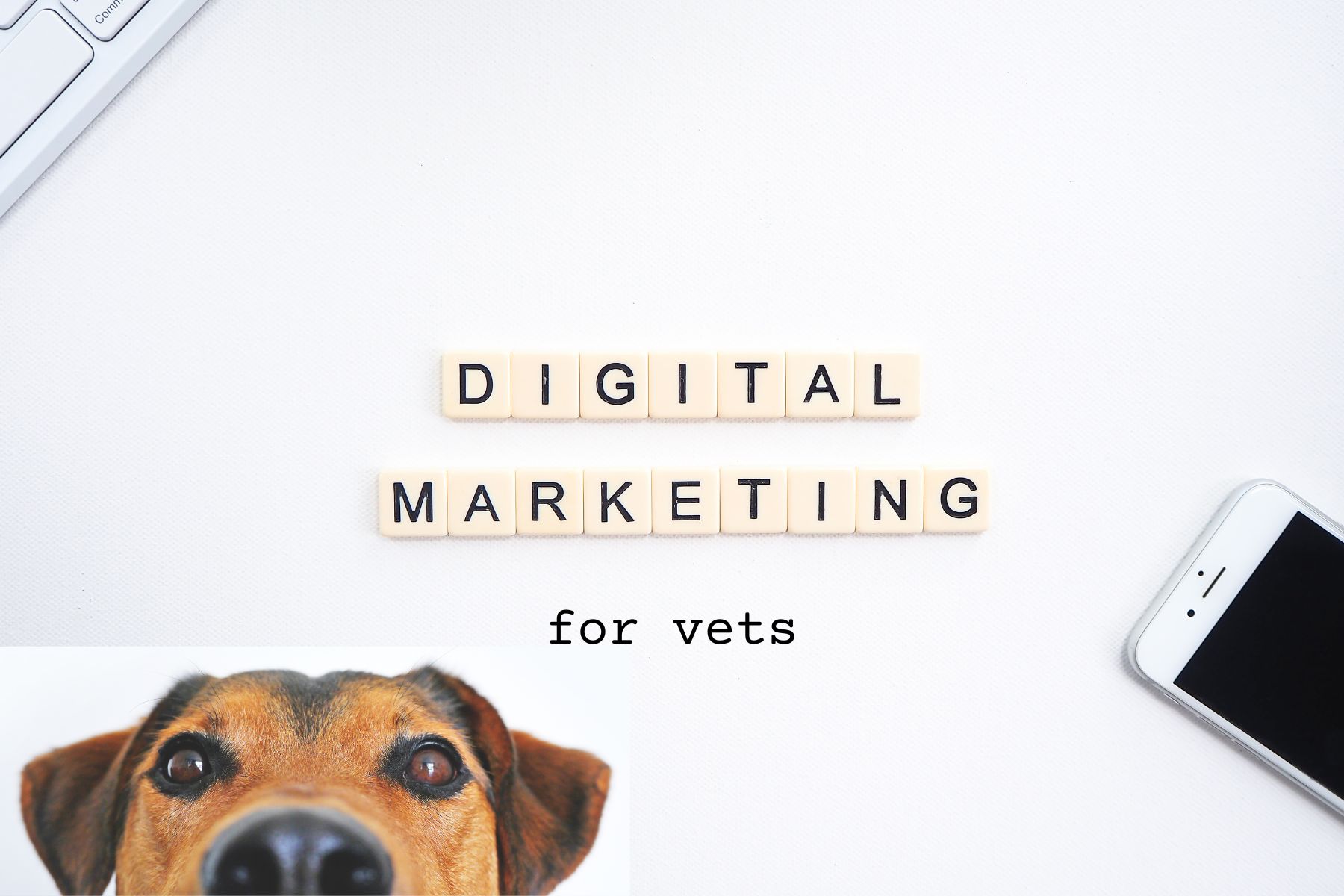 6 different types of digital marketing for vets in 2023