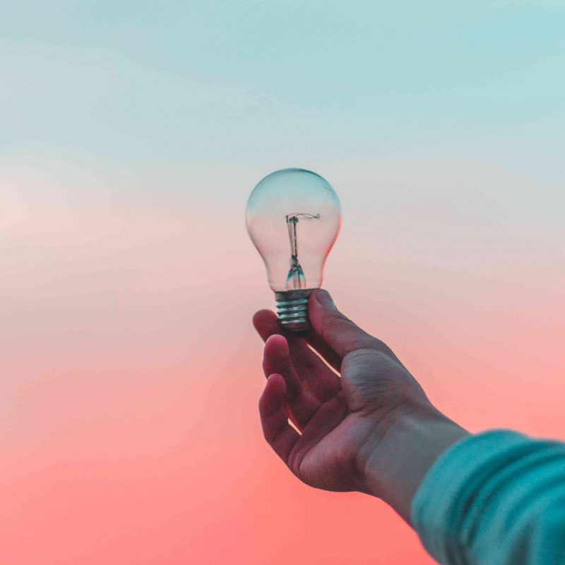 Man's arm holding a lightbulb, demonstrating how a freelance dog writer can bring fresh ideas to a business