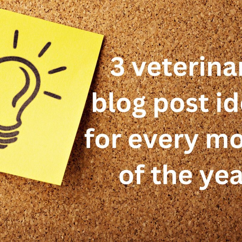 Text reading "3 veterinary blog post ideas for every month of the year" next to a drawing of a lightbulb