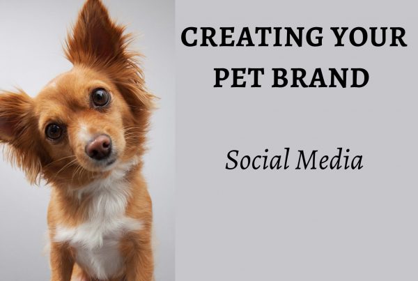 Dog with head tilted, it reads "Creating your pet brand: Social media"