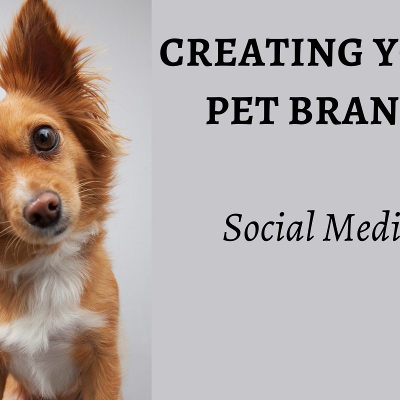 Dog with head tilted, it reads "Creating your pet brand: Social media"
