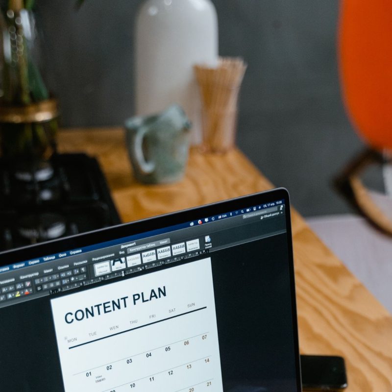 A pet content creator at work