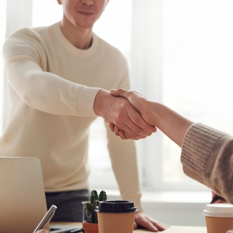 A pet copywriter wearing a white jumper shakes the hand of a seated client