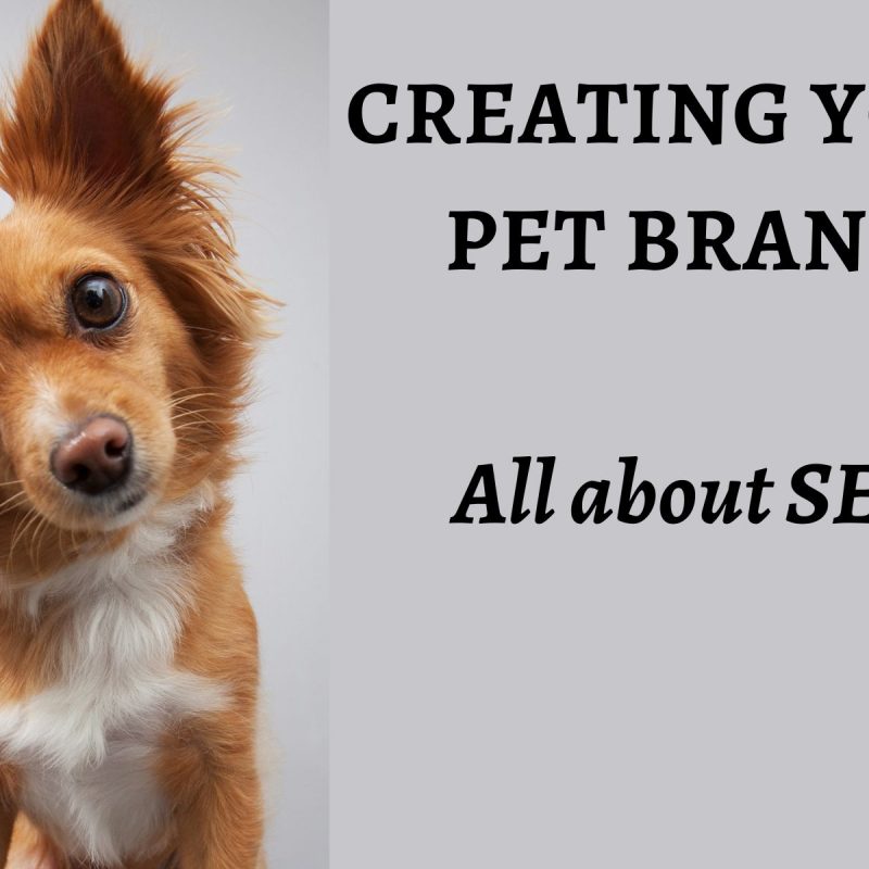 Dog with sign saying Creating your pet brand SEO