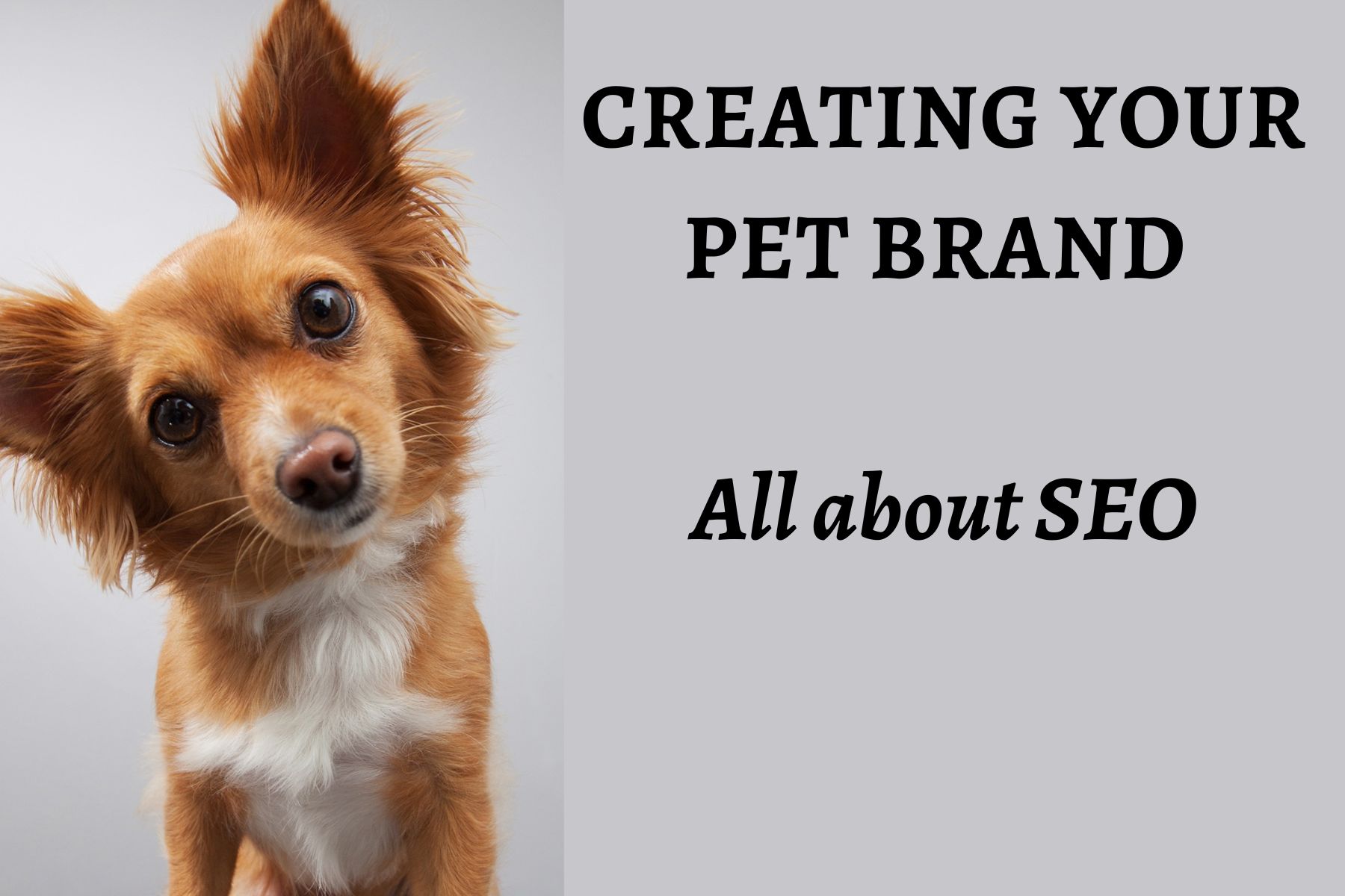 Creating your Pet Brand: SEO
