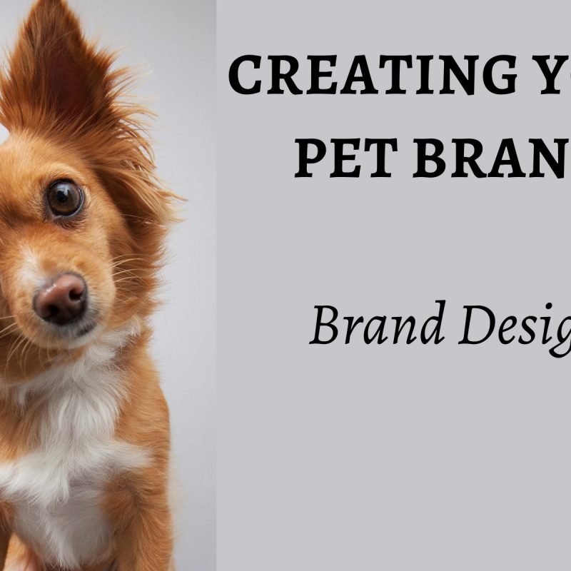 Creating your pet brand - brand design