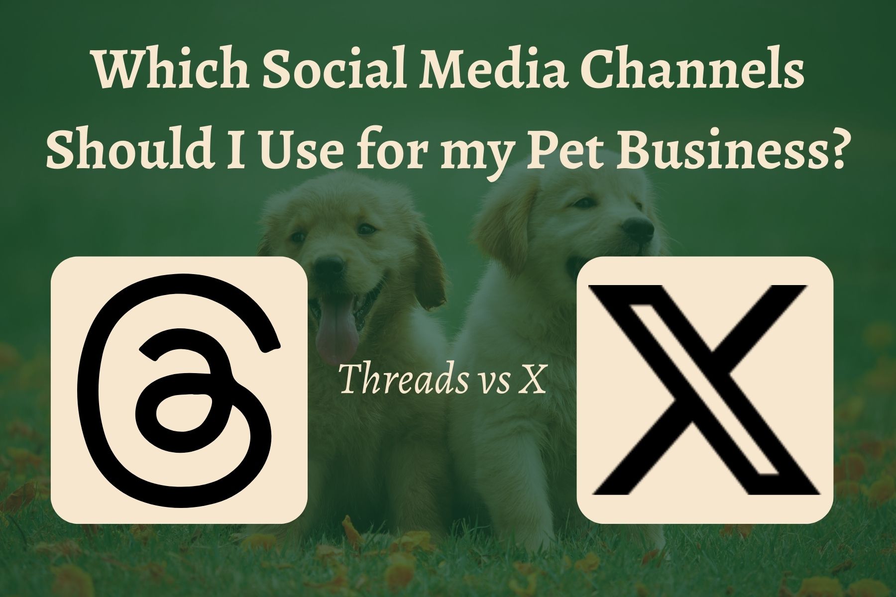 Threads vs X: Choosing Social Media for Pet Businesses
