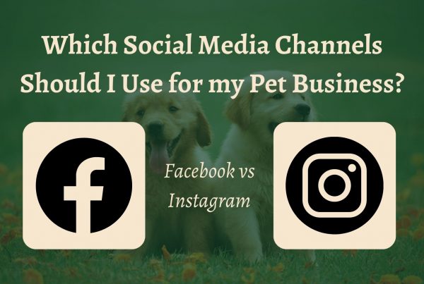 Which social media channel for pet care business