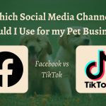Facebook vs Tiktok for advertising a pet business