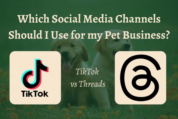 Tiktok vs Threads Pet business social media channels