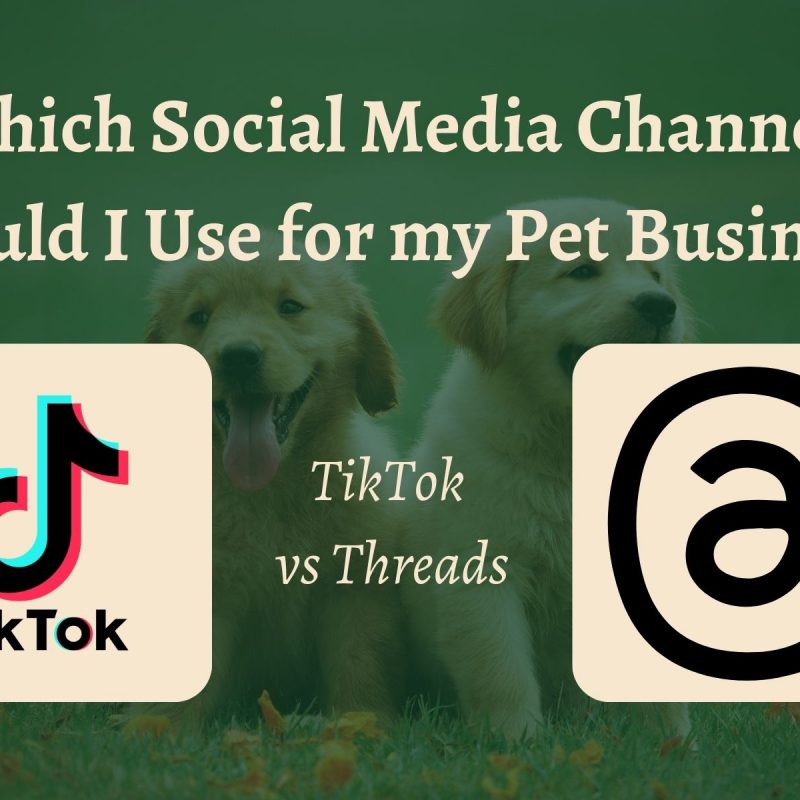 Tiktok vs Threads Pet business social media channels