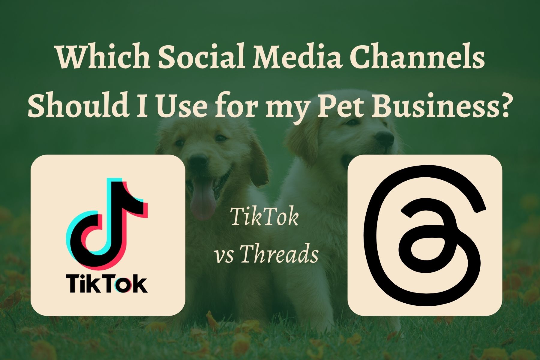 TikTok vs Threads – pick your pet business social media channels