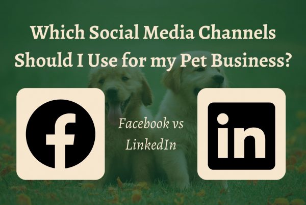 Pet professional social media choices