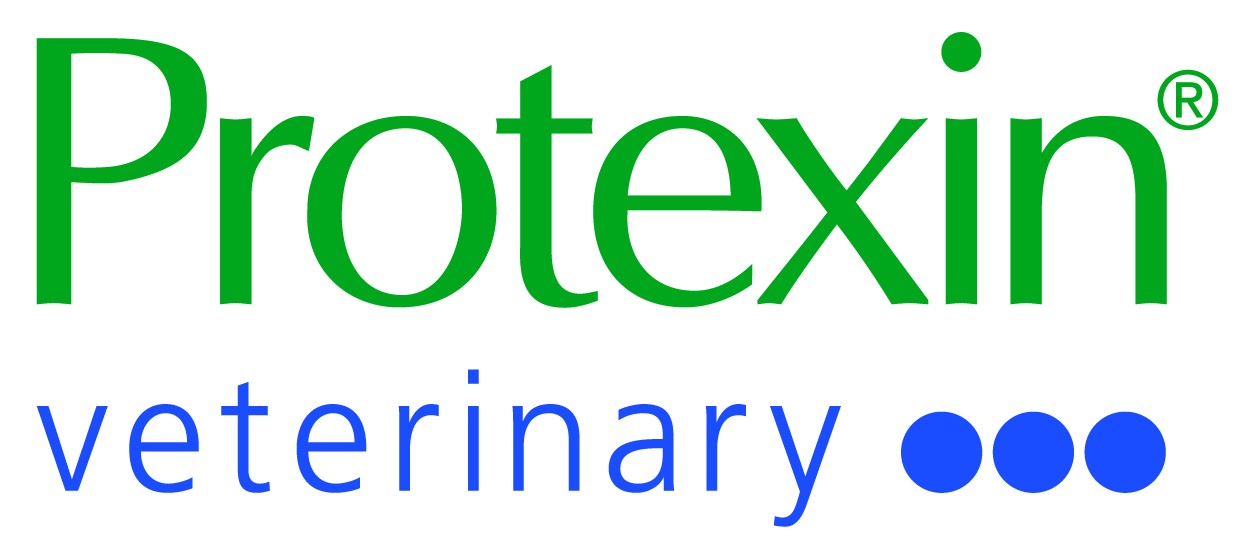 Our vet writers have written marketing materials for pet brand Protexin
