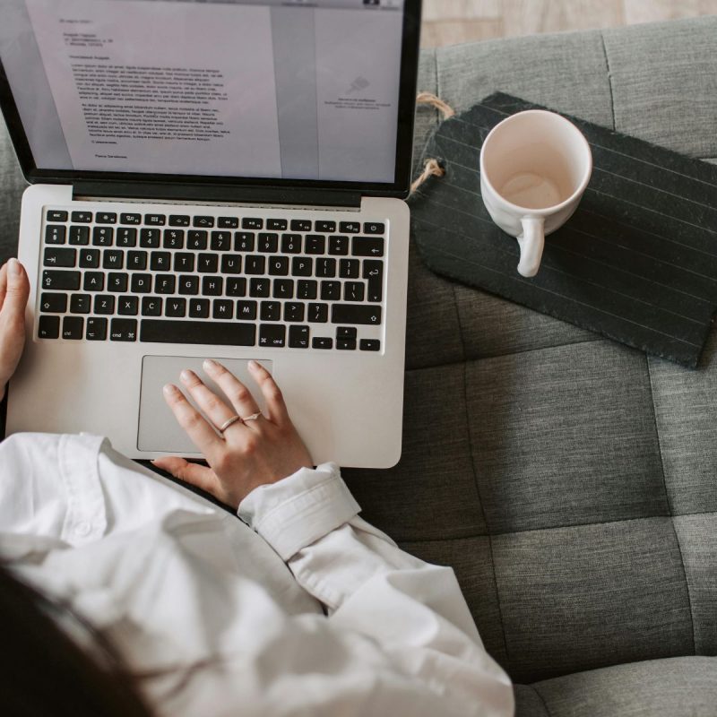 Read our veterinary copywriter secrets and find out how to turn pet owners into customers for your pet business